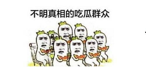 吃瓜群众视频,视频背后的热点追踪与娱乐狂欢